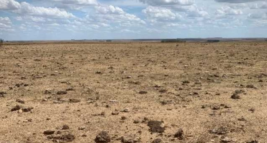 La peor sequ&iacute;a en 60 a&ntilde;os y el 8&deg; a&ntilde;o m&aacute;s seco de toda la historia 