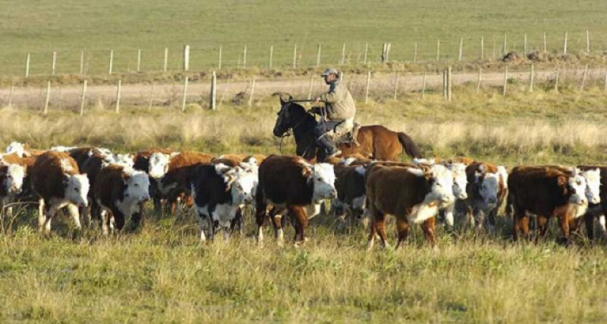 Capacitaci&oacute;n ganadera en Tres Isletas