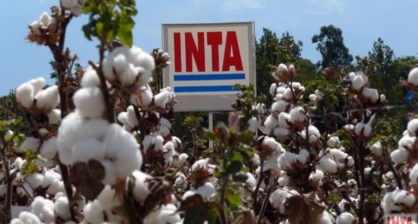 Piden a la Nación que dé marcha atrás con la idea de 