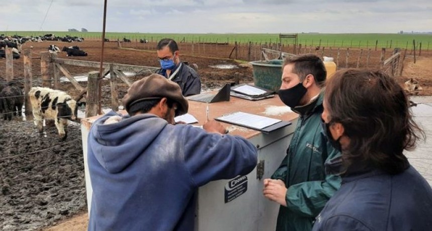 El &lsquo;otro&rsquo; campo: en los &uacute;ltimos 2 a&ntilde;os rescataron a 1.050 trabajadores rurales en situaci&oacute;n de explotaci&oacute;n laboral