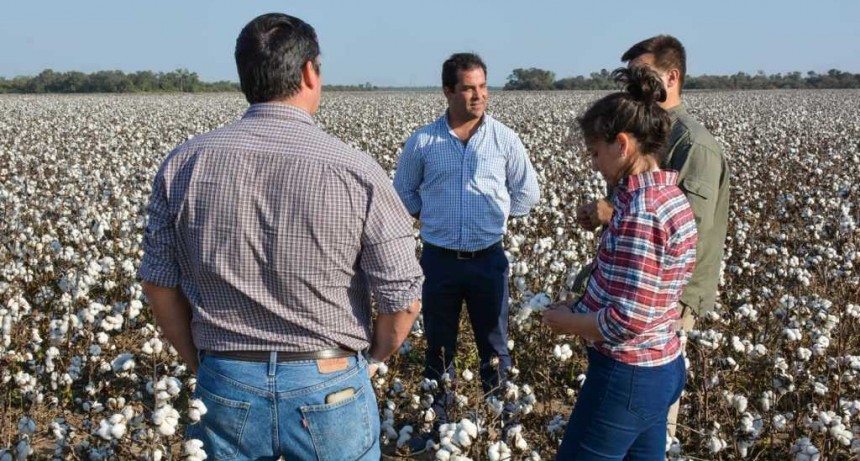 Lifton: &ldquo;Las econom&iacute;as regionales son quienes iniciaron el proceso de recuperaci&oacute;n en Argentina&rdquo;