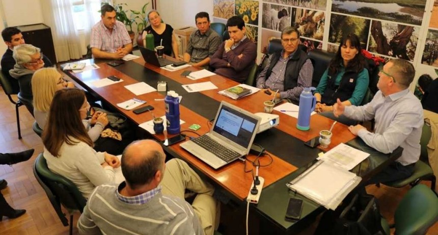 Producci&oacute;n confirm&oacute; que la campa&ntilde;a de vacunaci&oacute;n animal comenzar&aacute; el 11 de octubre