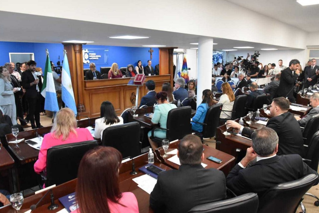 Carmen Delgado es la nueva presidenta de la Legislatura chaqueña