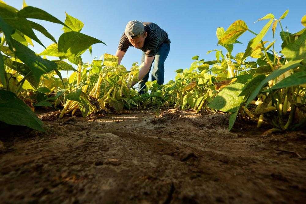 Abren un registro para facilitar el acceso a beneficios de pequeños y medianos productores