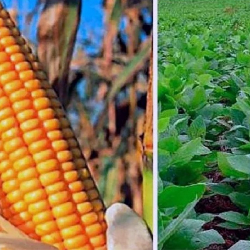 El precio mundial de los alimentos subió 7,6% anual en abril