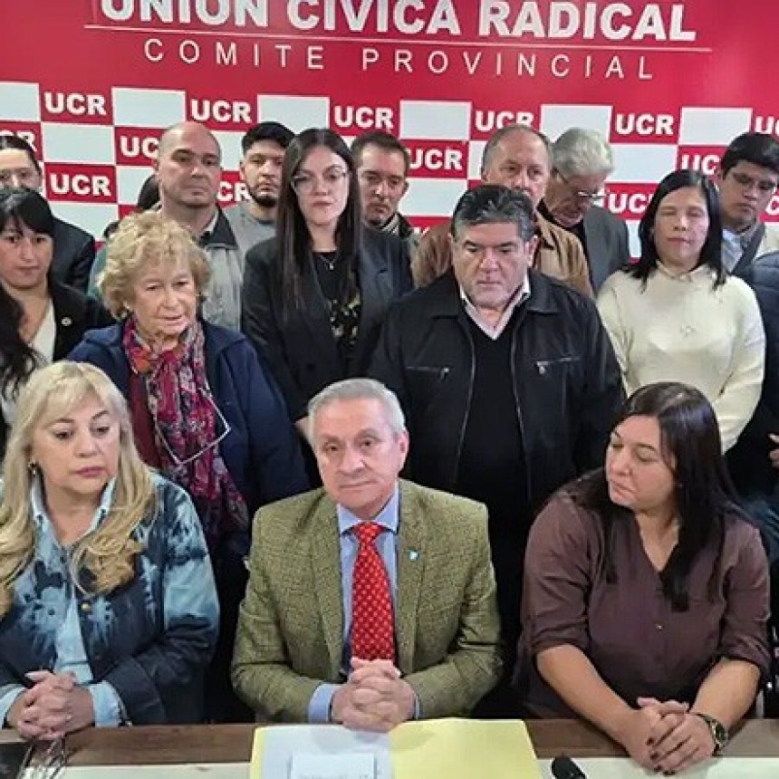 La UCR Chaco cerr&oacute; una lista de unidad: Hugo Maldonado busca volver a presidir el partido