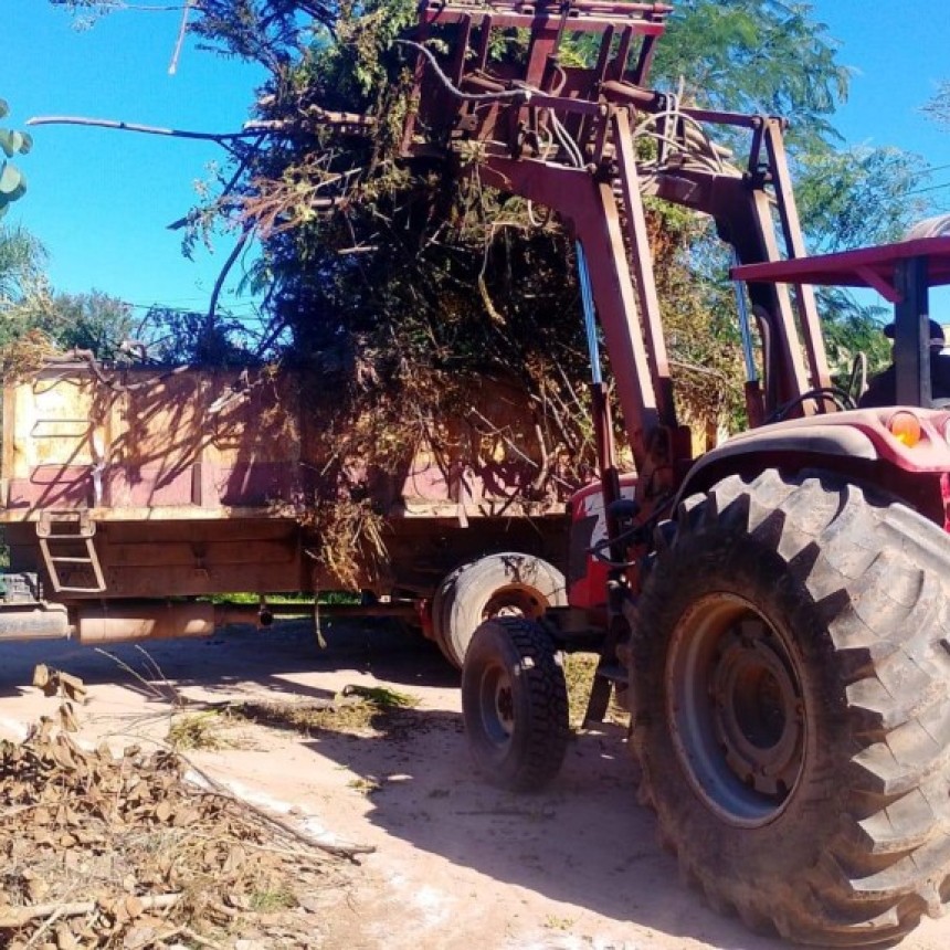 Servicios P&uacute;blicos, llev&oacute; adelante una fuerte intervenci&oacute;n en el barrio G&uuml;emes, con un importante operativo de recolecci&oacute;n y remoci&oacute;n de ramas de poda