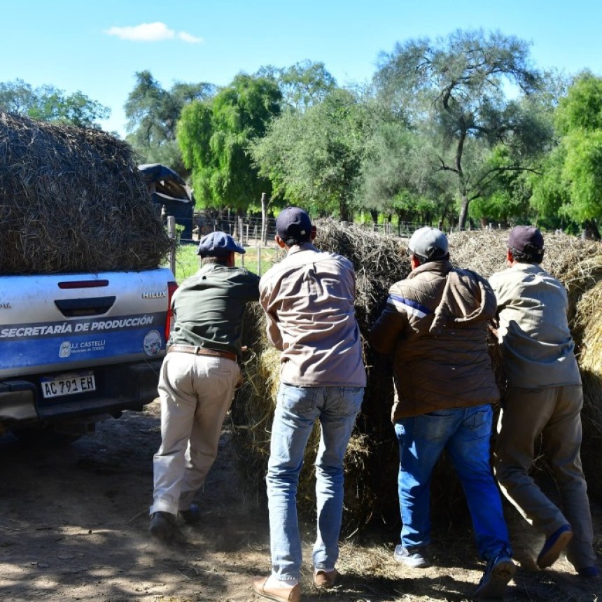 El municipio asiste con pasturas a productores afectados por las inundaciones