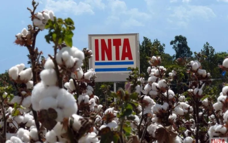 Piden a la Nación que dé marcha atrás con la idea de 