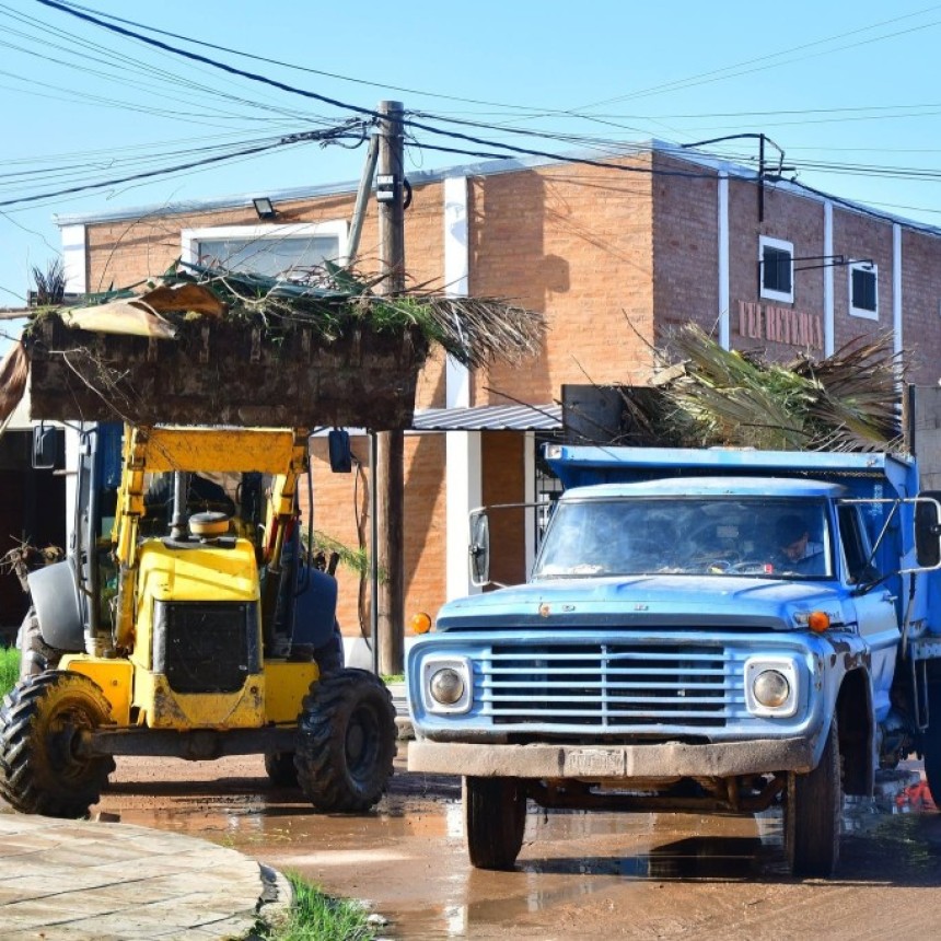  Intensifican los trabajos de recolecci&oacute;n de ramas y descacharrado en calle Salta