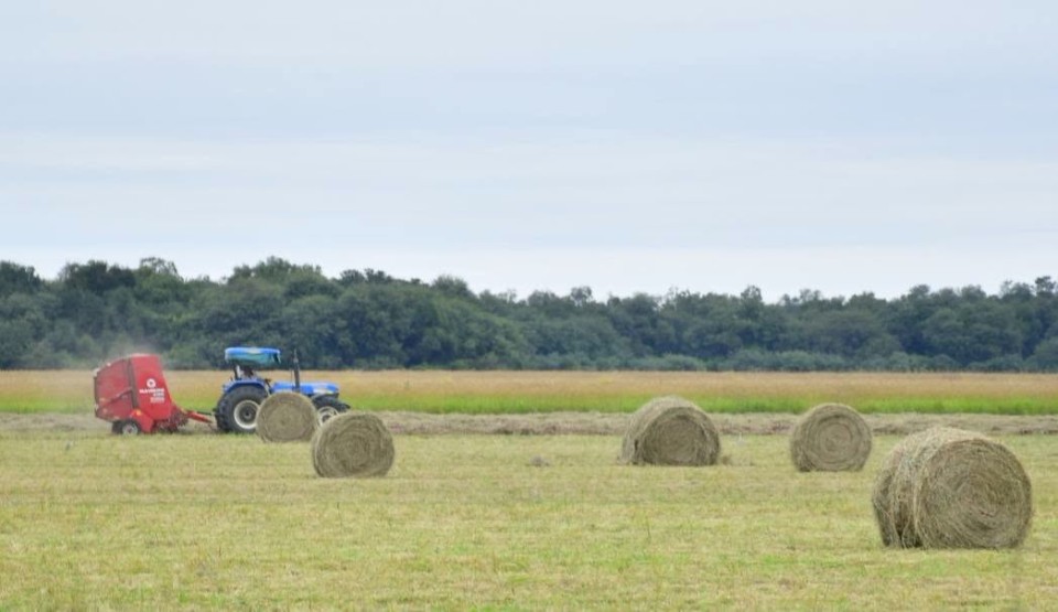 La Municipalidad de Castelli continúa trabajando junto a los productores en la preparación de reservas  de pasturas para afrontar los baches forrajeros del invierno